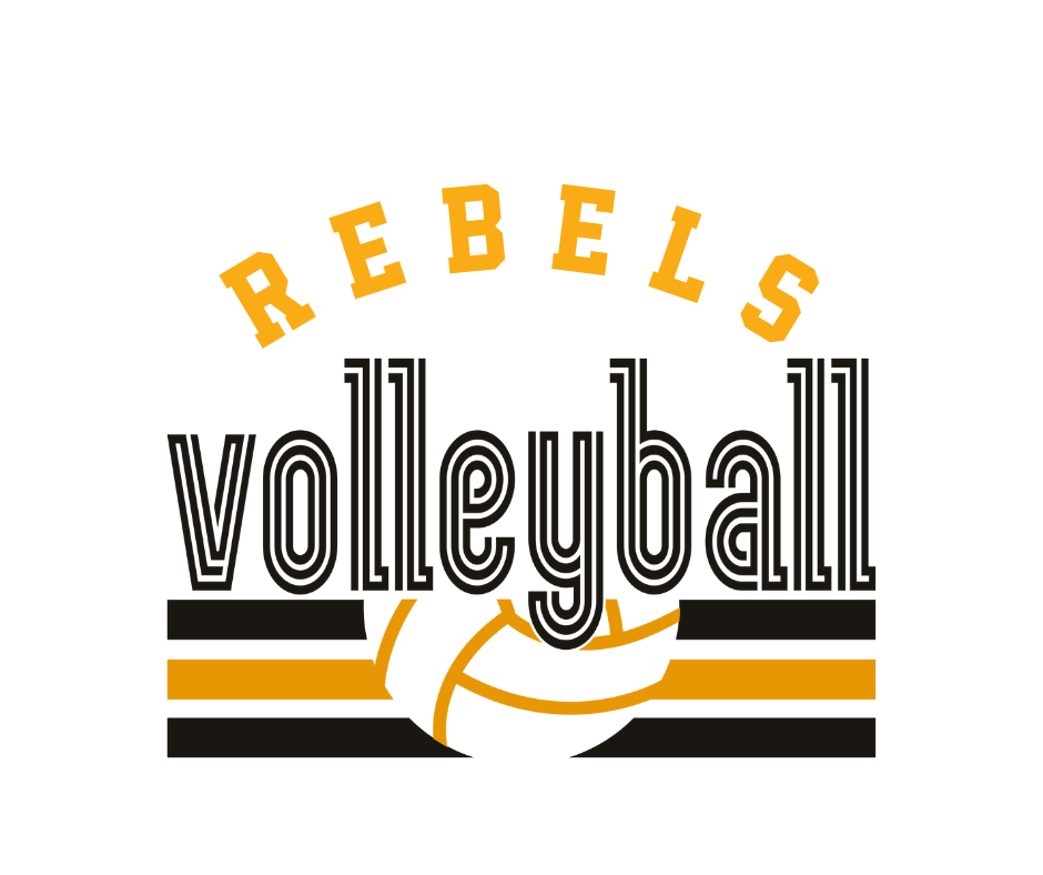 Game Day - Volleyball Edition (Boyle Co., Customized)