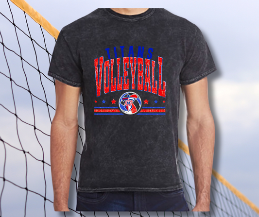 Titans Retro Volleyball